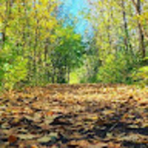 Meet your Posher, Jonalyn